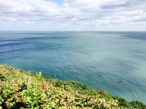 The view on the cliff walk in Bray, where Europe's First is placed